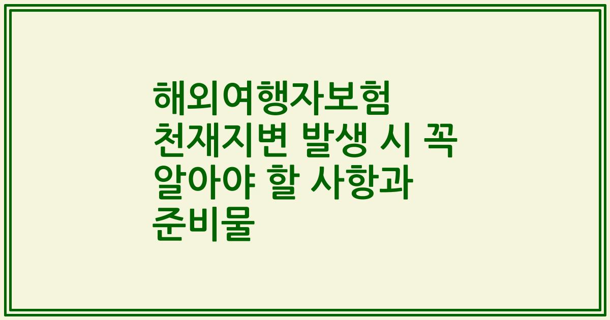 해외여행자보험 천재지변 발생 시 꼭 알아야 할 사항과 준비물
