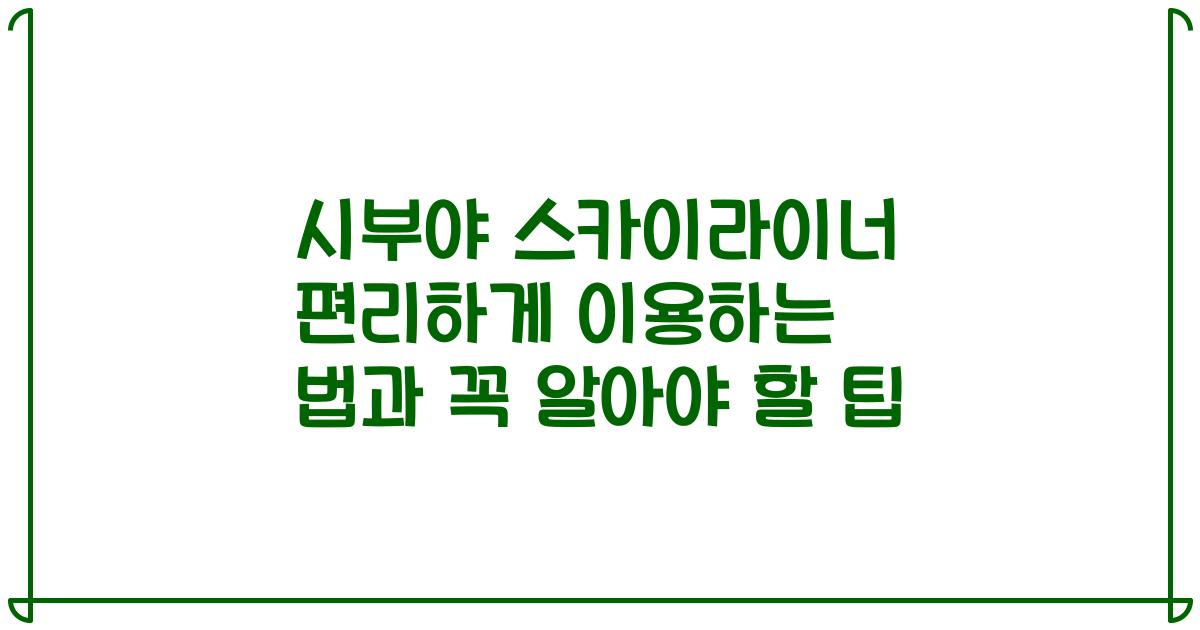 시부야 스카이라이너 편리하게 이용하는 법과 꼭 알아야 할 팁